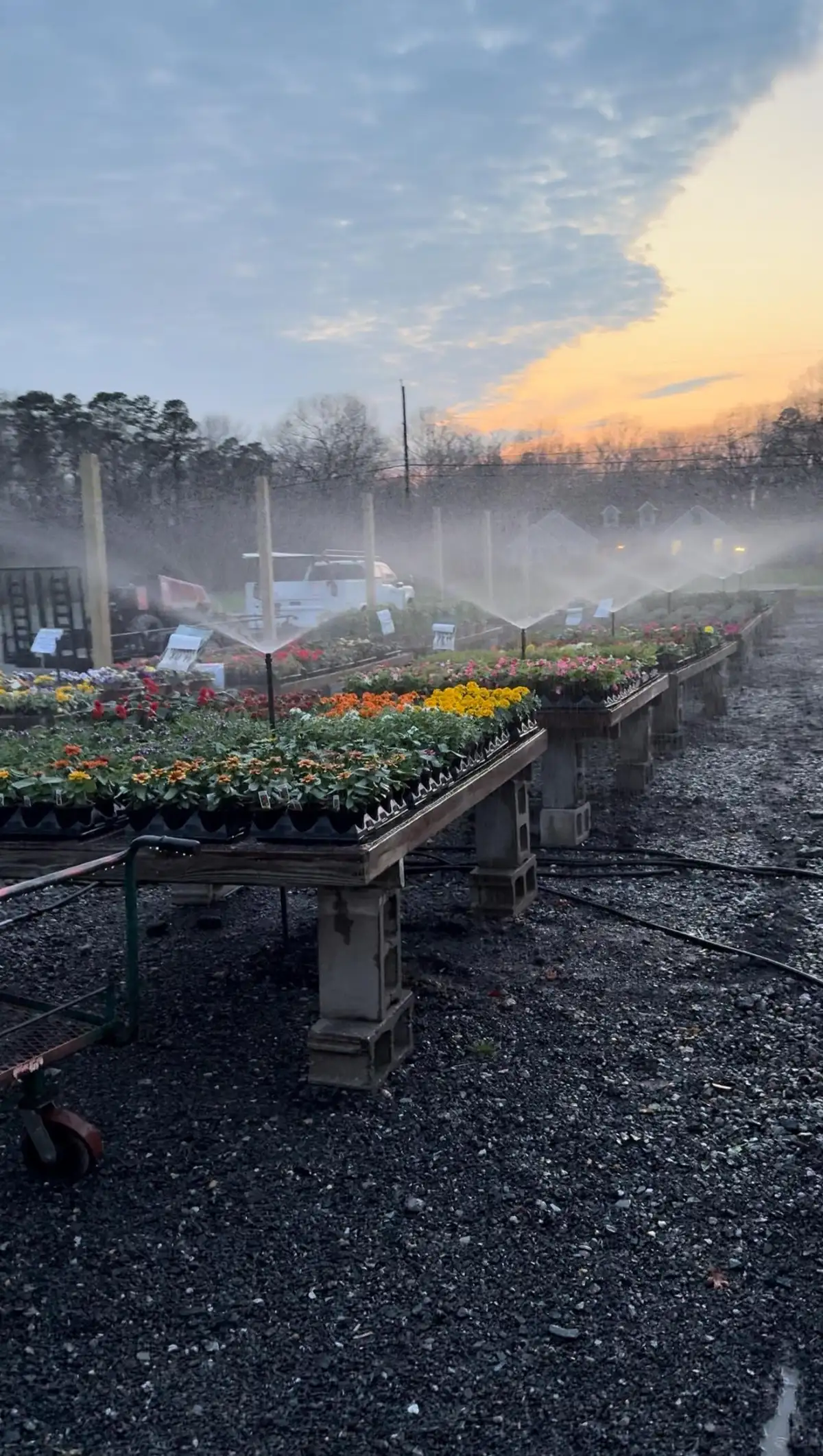 Garden center irrigation system at sunset