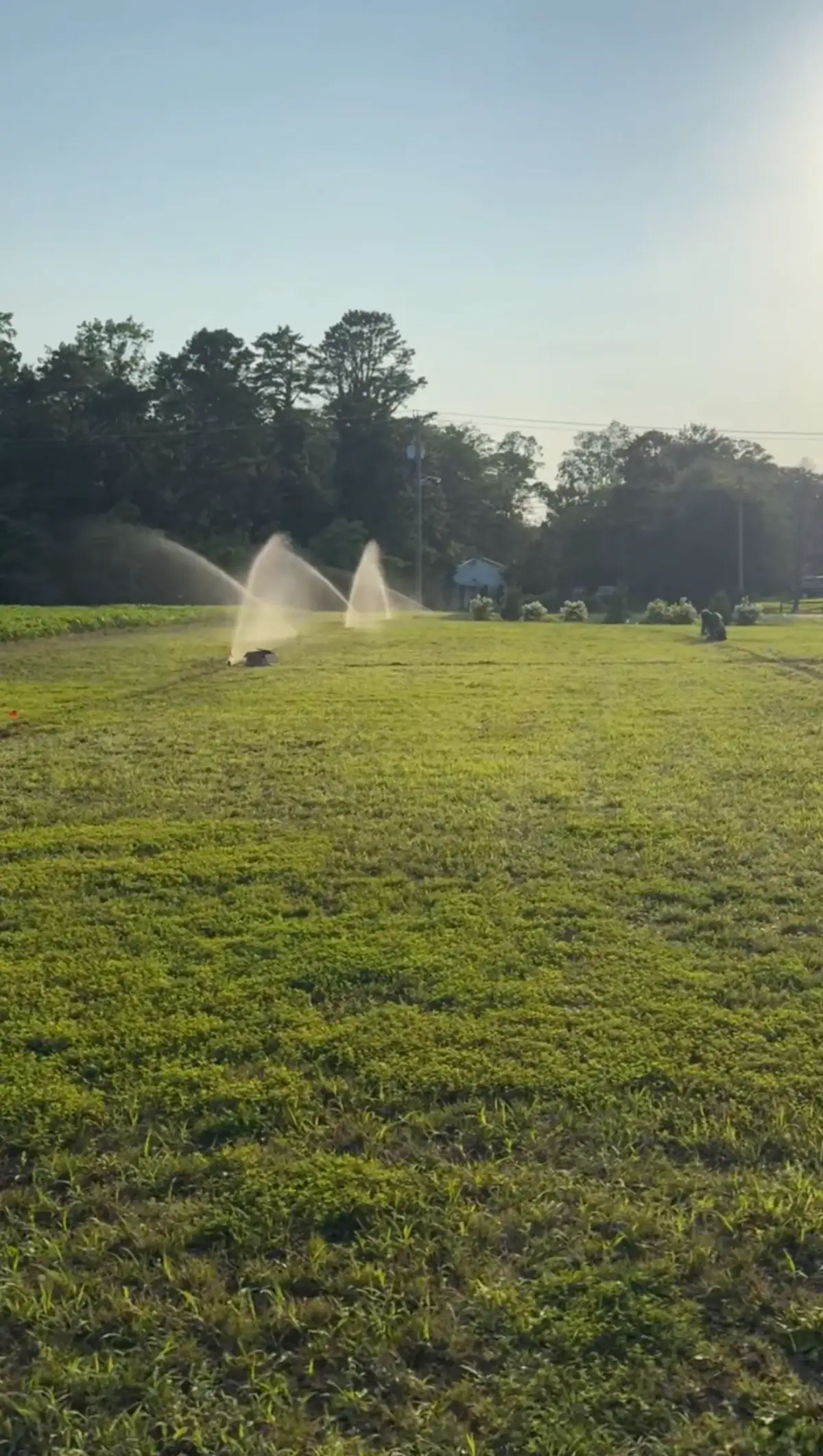 Commercial sports field with irrigation system at sunset