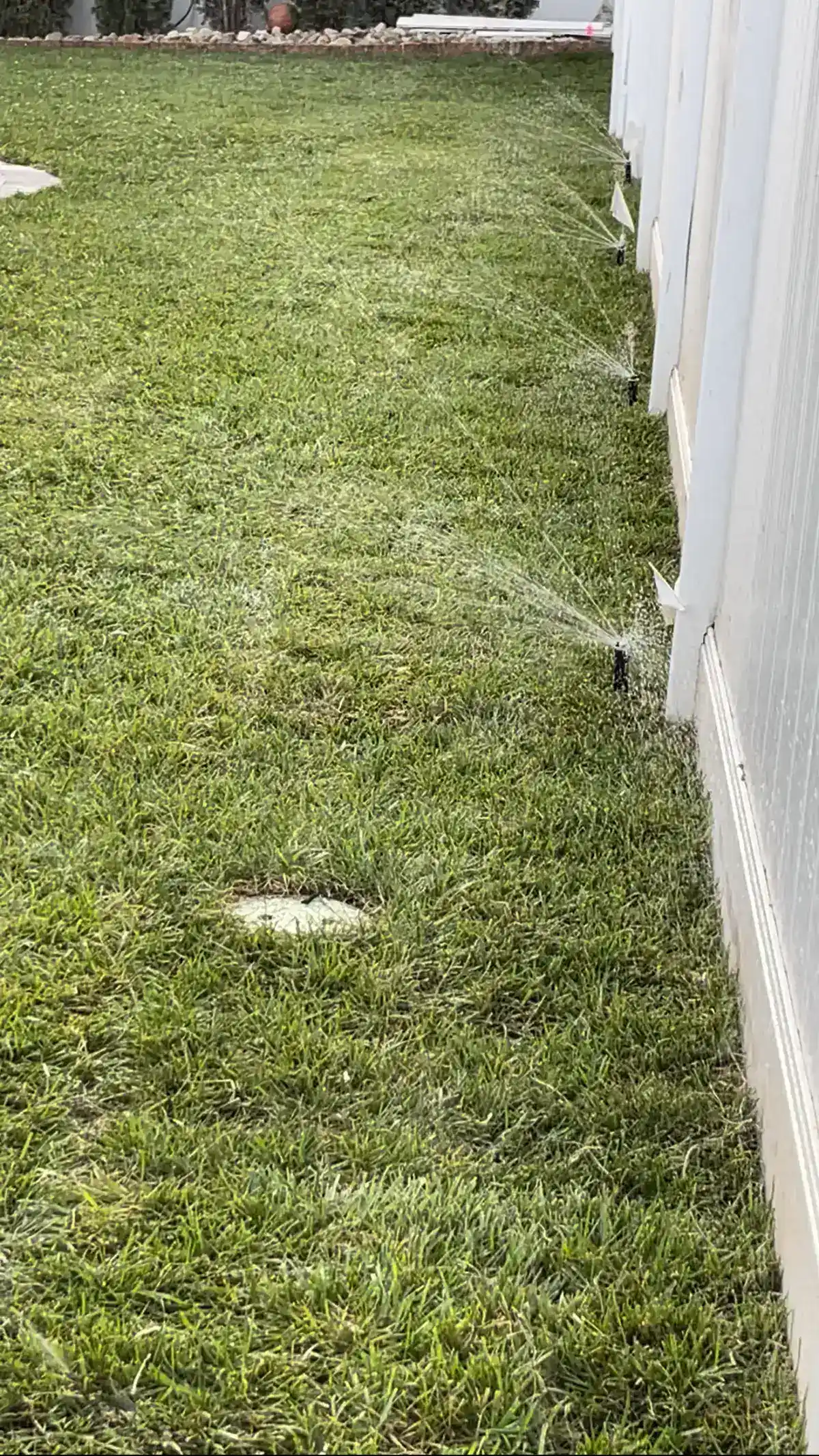 Side yard sprinkler zone providing even coverage between homes
