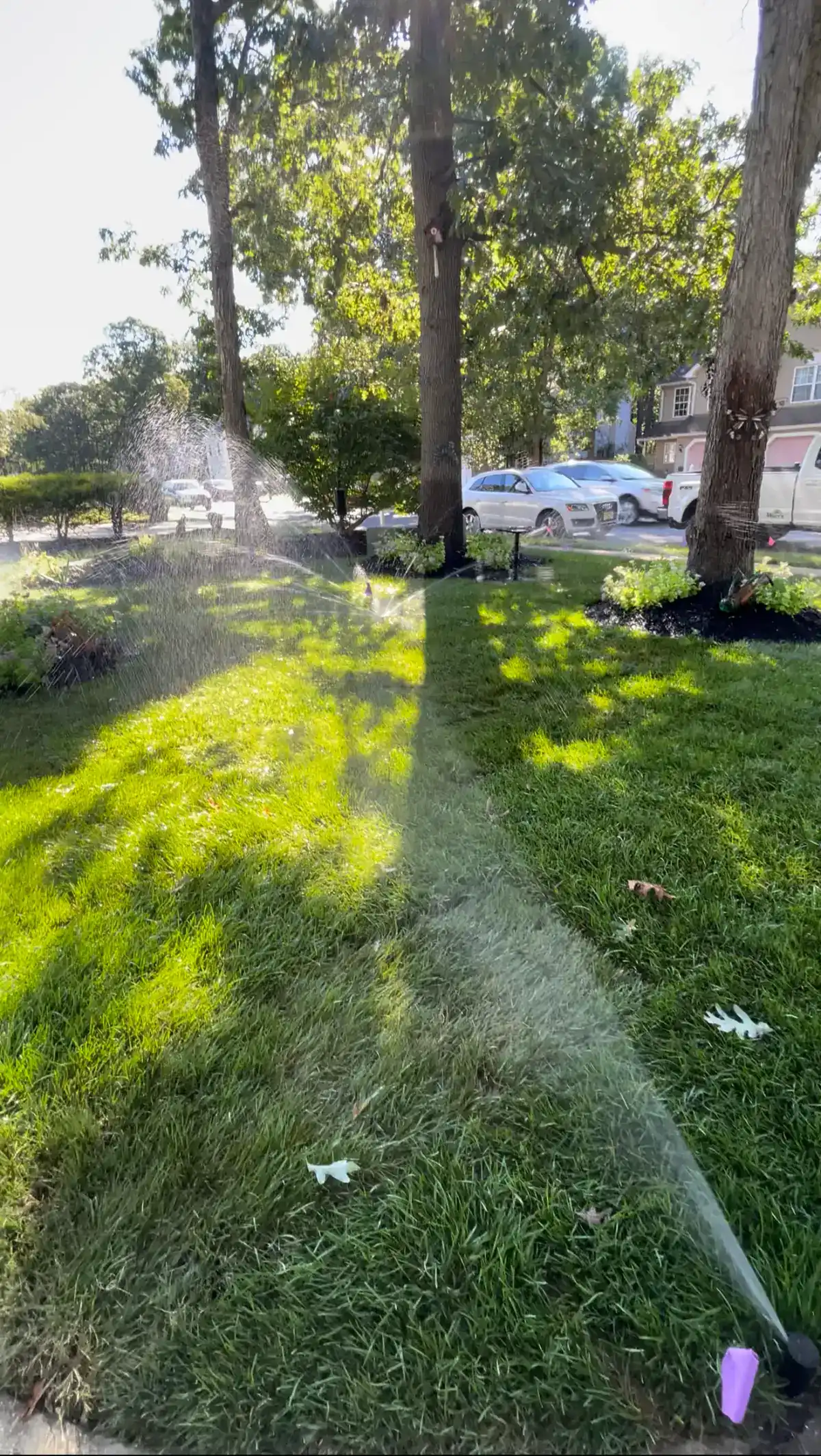 Sprinkler system watering a shaded lawn at a Cape May County NJ property